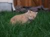 dsc01757_2