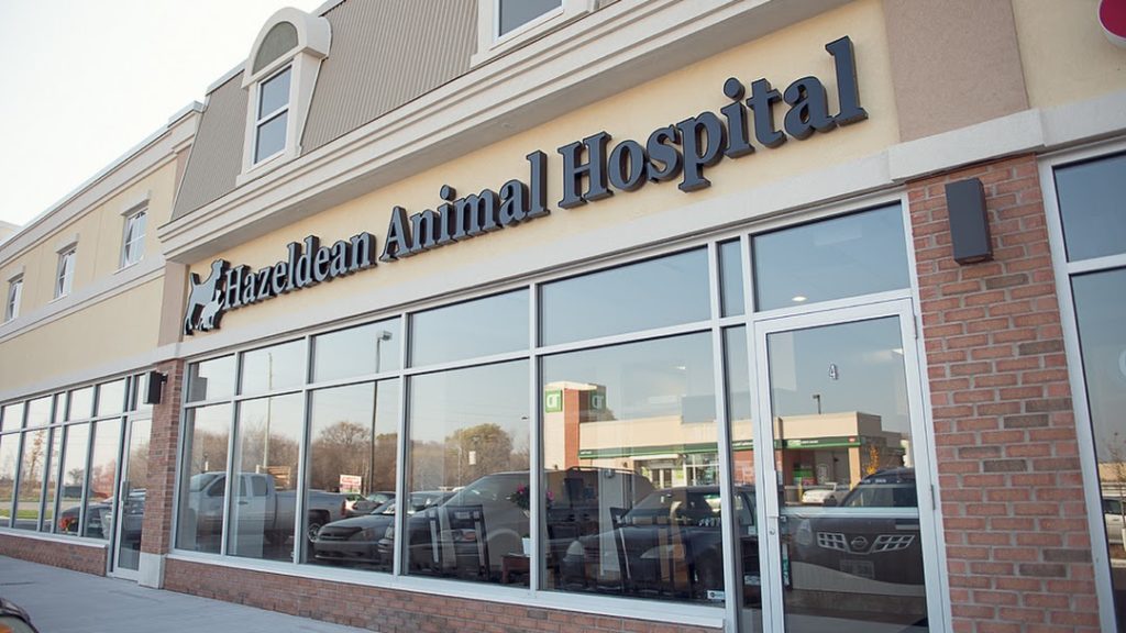 Find Us Hazeldean Animal Hospital